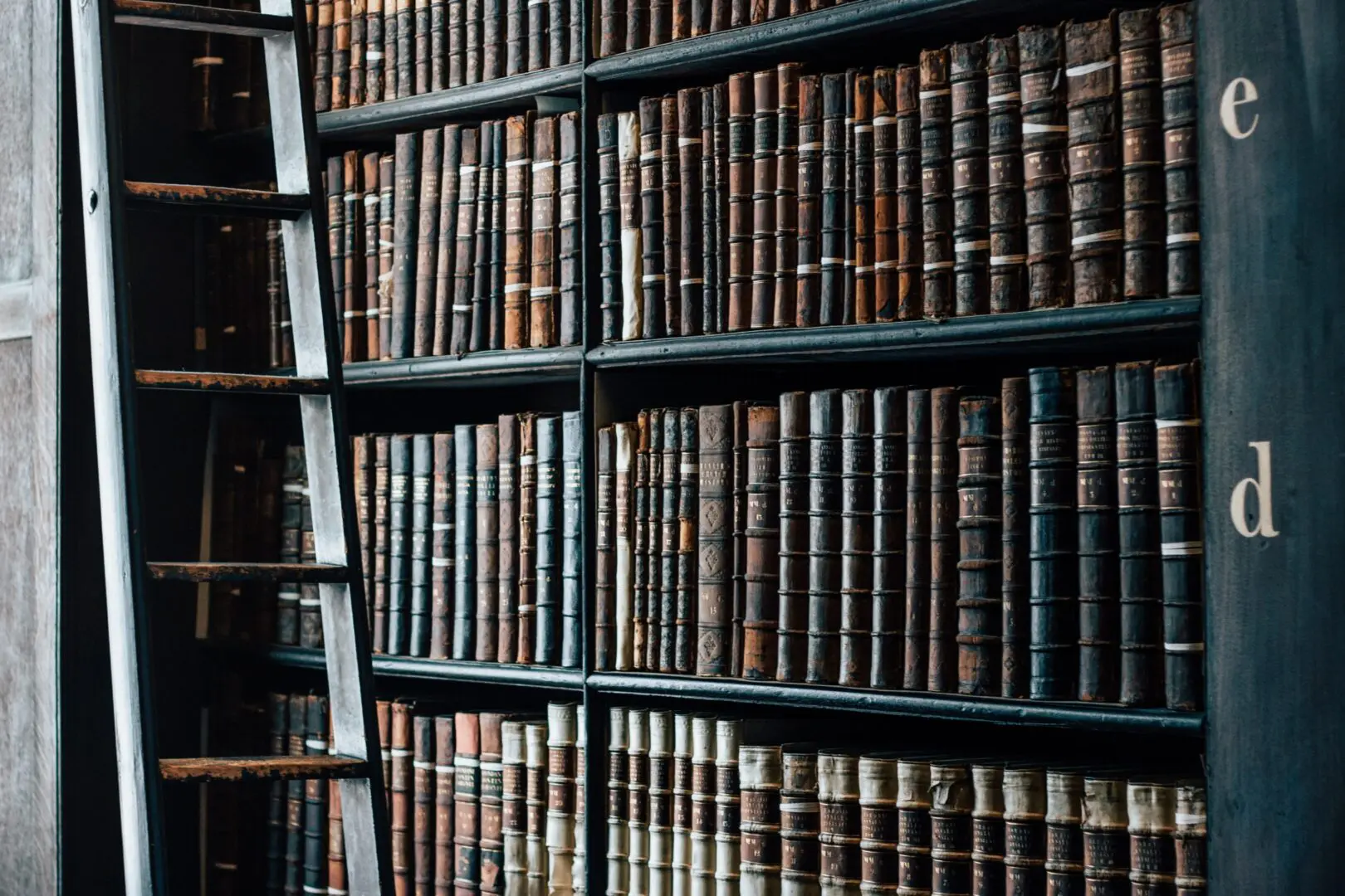 Antique leather books on shelves with ladder