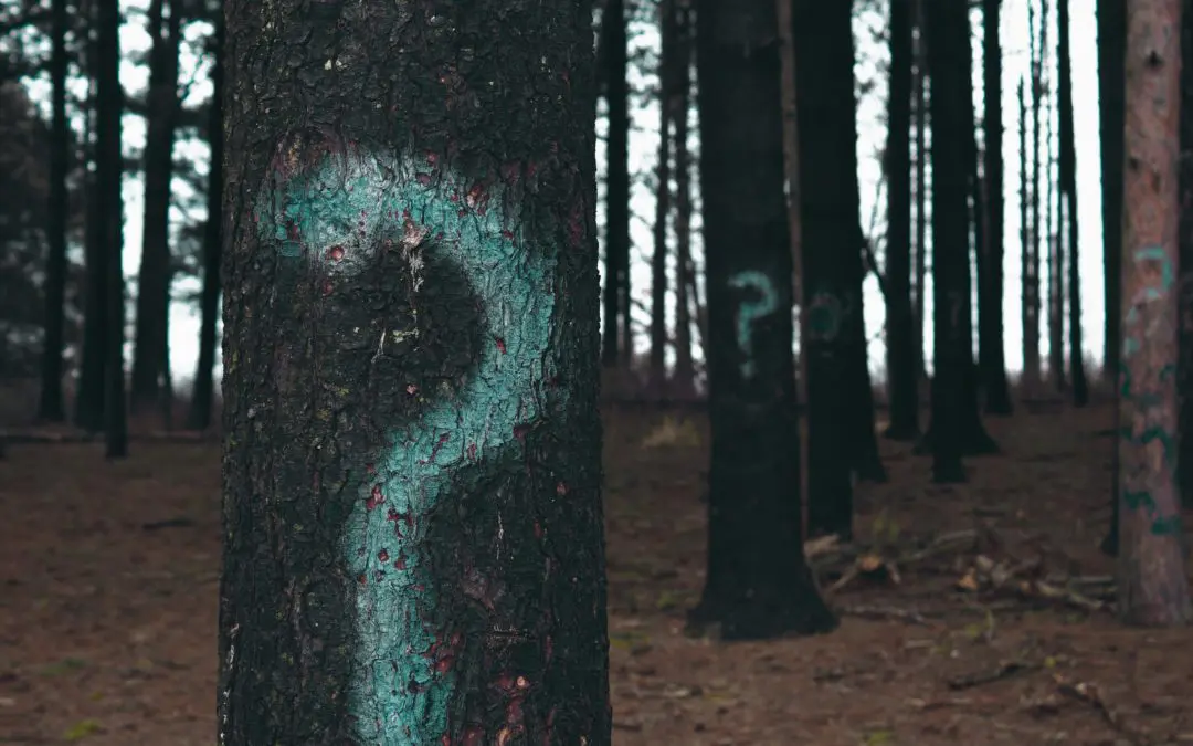 Tree trunk painted with teal question mark