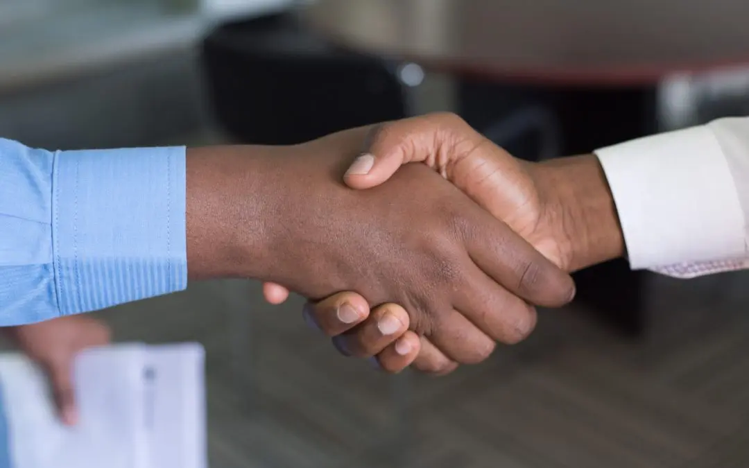 Close-up of a professional handshake