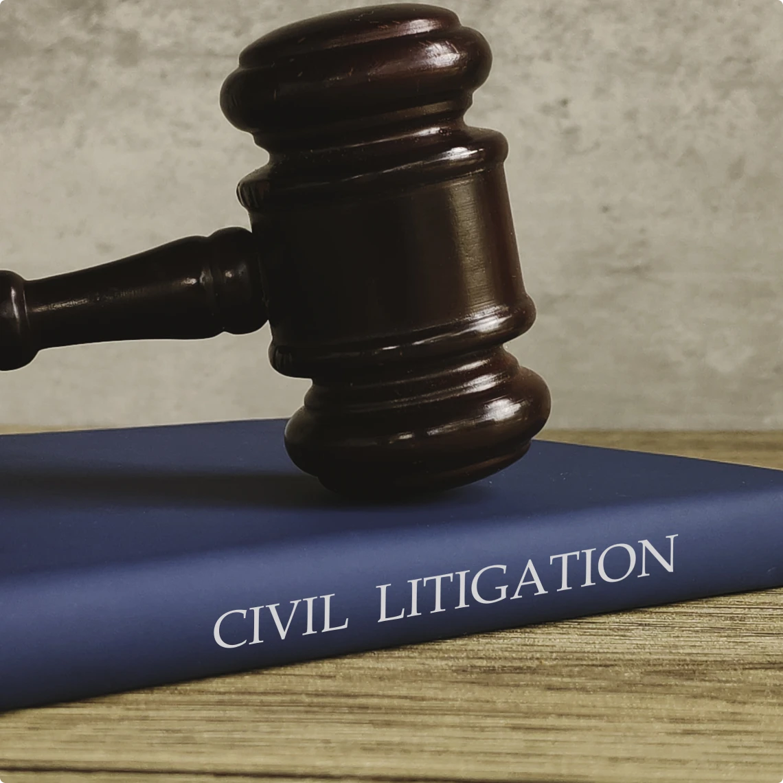 Gavel on "Civil Litigation" book.